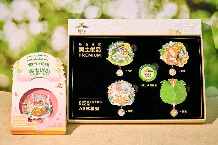 王婧：用文创产品让城市IP“活起来”冰球突破黑龙江五一五四双奖章获得者(图5)